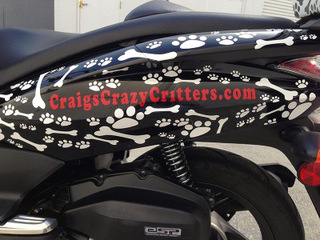 Best vehicle wraps and graphics Orange County