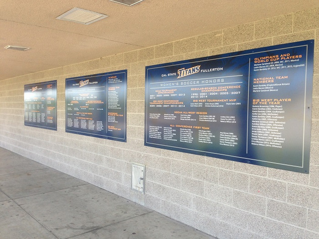 Acrylic panels for athletic fields in Orange County
