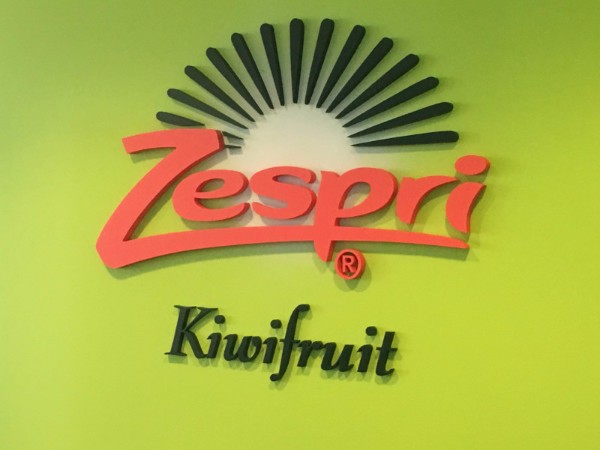 3D Letter Logo Lobby Signs in Orange County CA