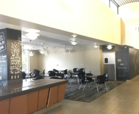 Wall Graphics and Murals for Schools in Orange County CA