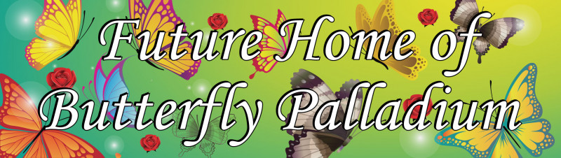 Coming Soon Banner
