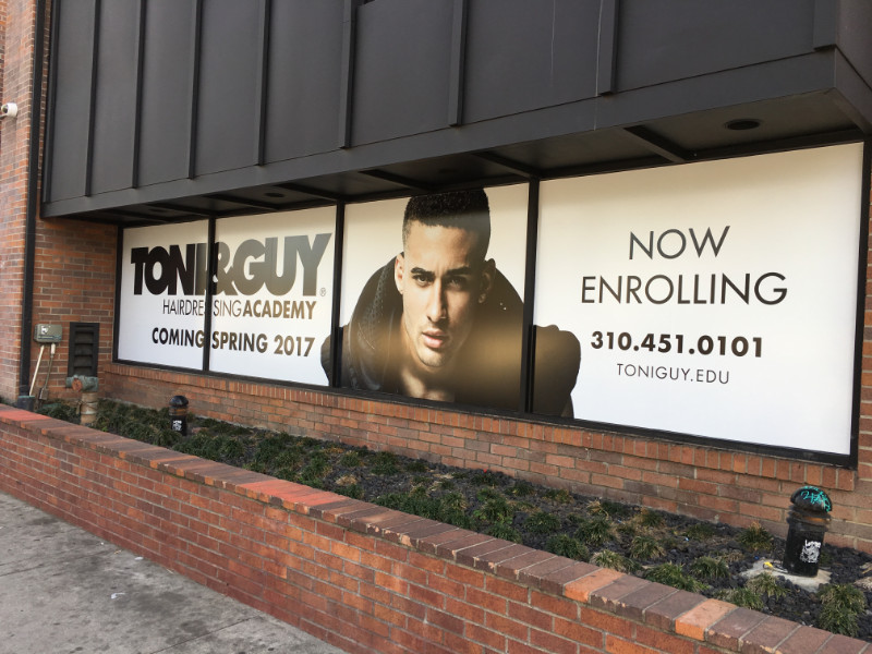 Retail Window Murals