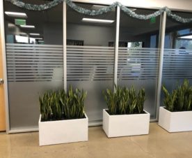 Frosted Glass Graphics in Orange County CA