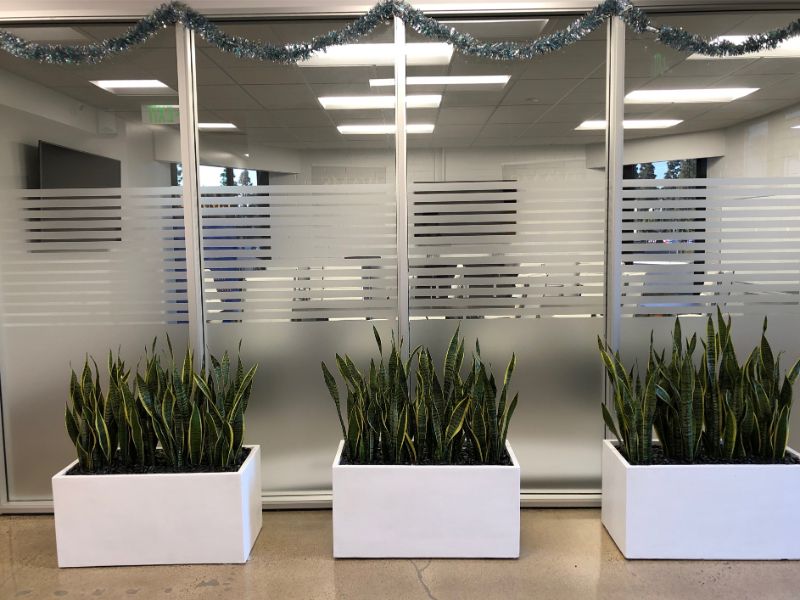 Frosted Glass Graphics in Irvine CA