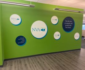 Office Vinyl Wall Circles in Thousand Oaks CA