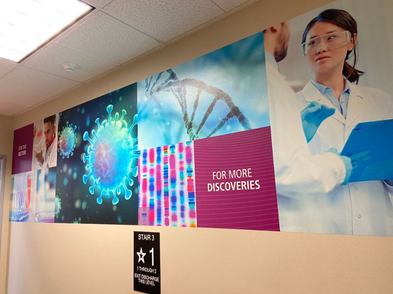 Stairwell Wall Graphics in Los Angeles CA