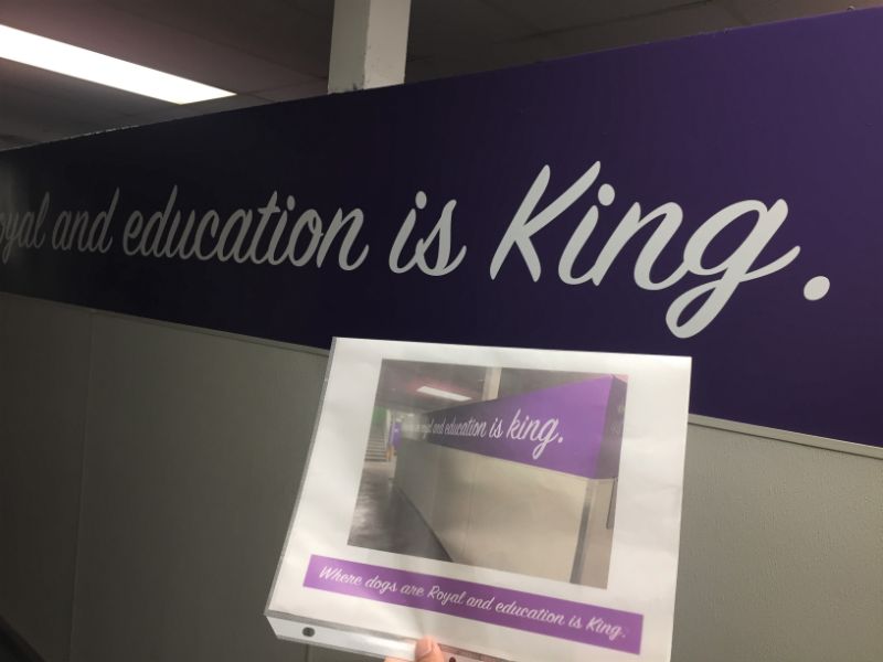 wall graphics with proof after installation in Yorba Linda CA