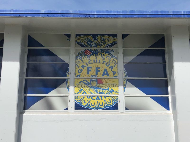 custom designed window graphics in orange county ca