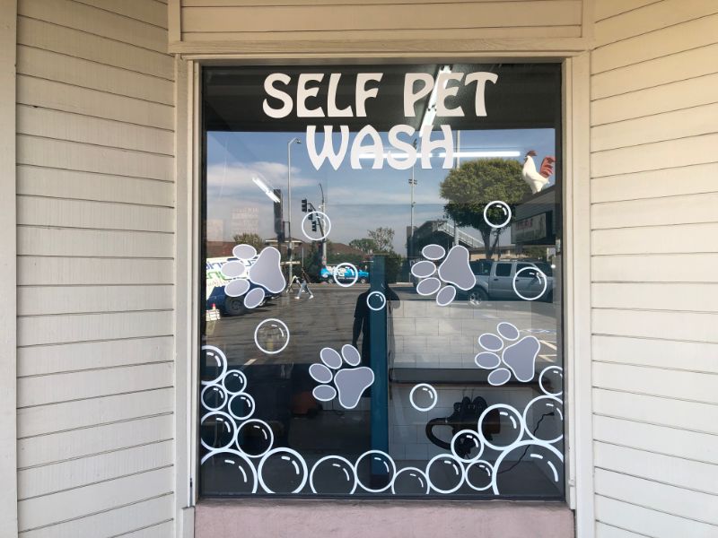 Die Cut Window Graphics in Orange CA