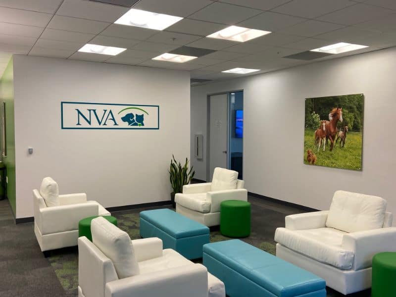 Office Wall Logos in Los Angeles