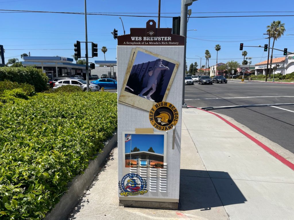 Custom wraps for utility boxes