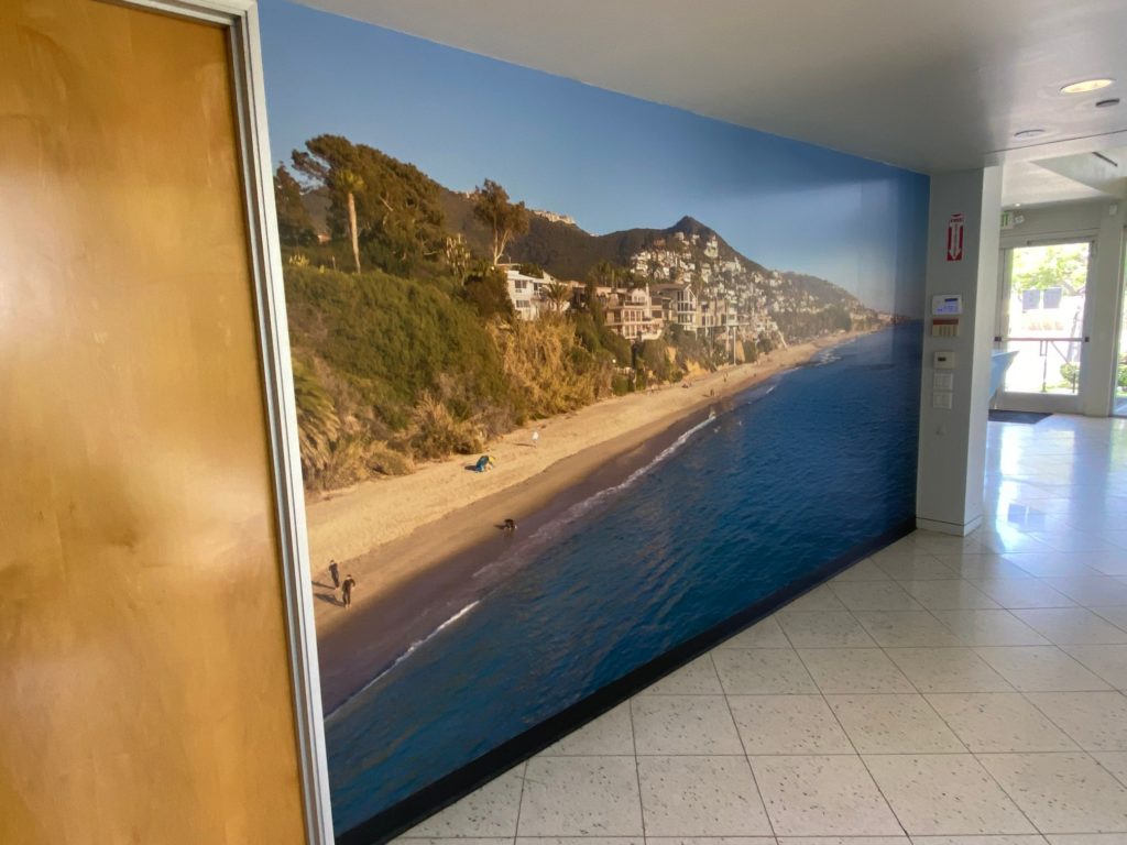 Scenic Wall Murals in Anaheim CA