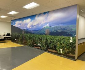 Wall Murals in Anaheim CA
