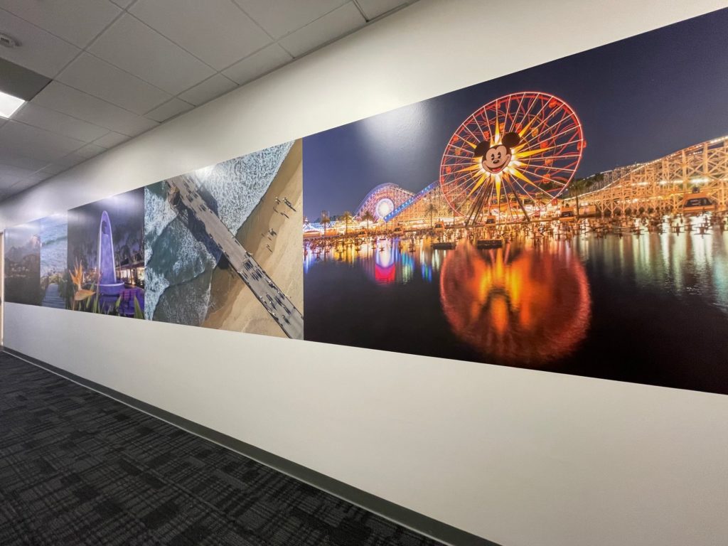 Office Hallway Wall Graphics