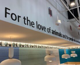 3D acrylic lettering in manhattan beach, ca