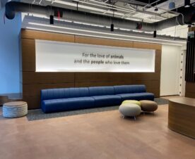 3d lettering for office walls in los angeles