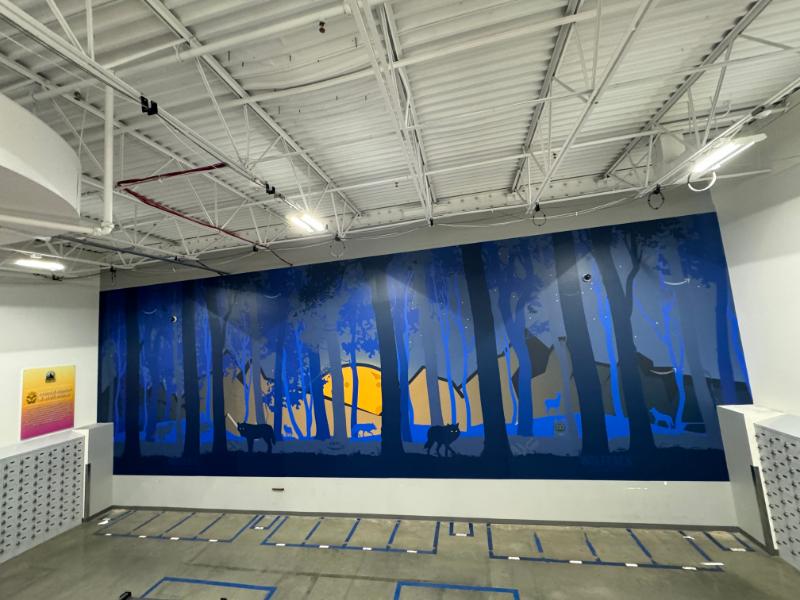 Custom wall graphics in riverside county, ca