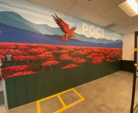 Custom wall wraps and graphics in orange county, ca