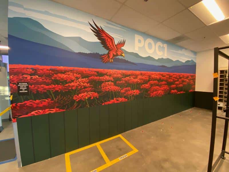 Custom wall wraps and graphics in orange county, ca