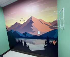 custom wall graphic designs for treatment rooms in los angles, ca